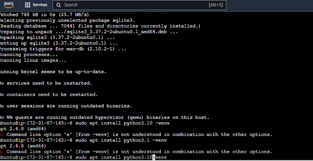 apt-get_install_python3.10-venv.png