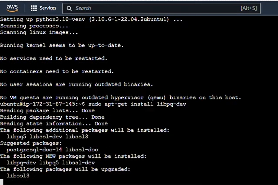 sudo_apt-get_install_libpq-dev.png