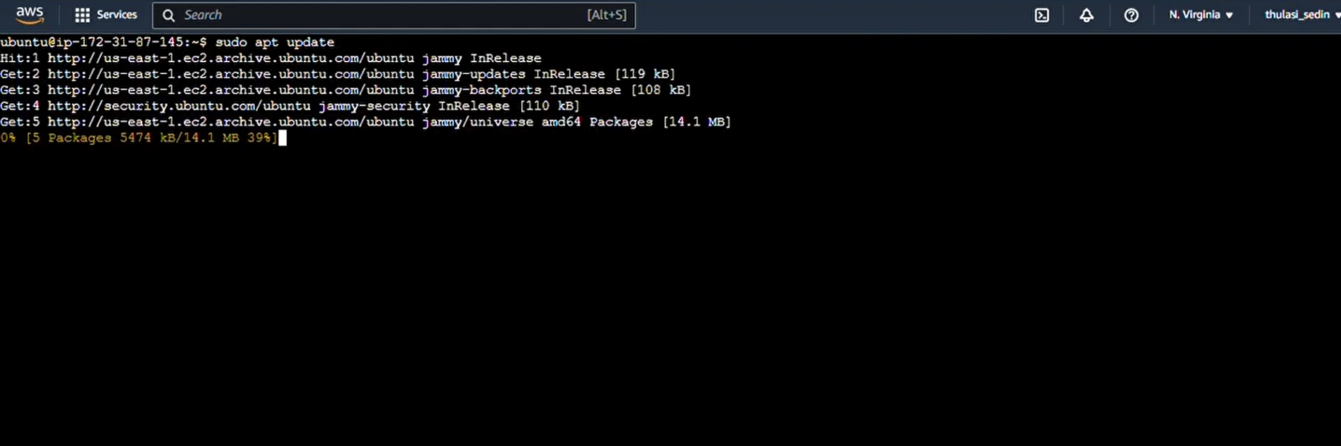 sudo_apt_update (1).png