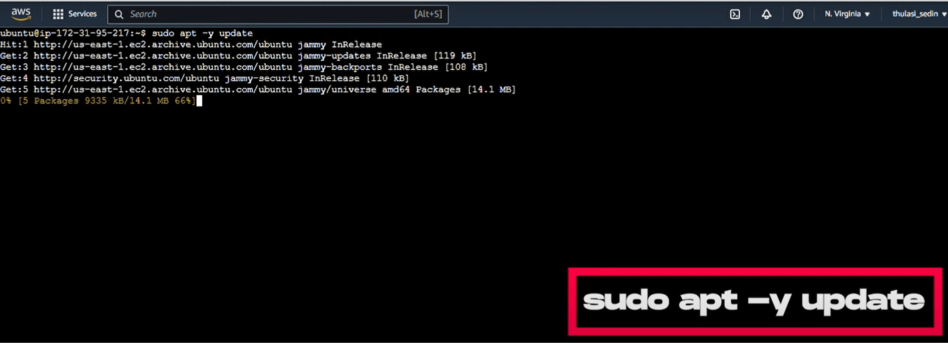 sudo_apt_-y_update.png